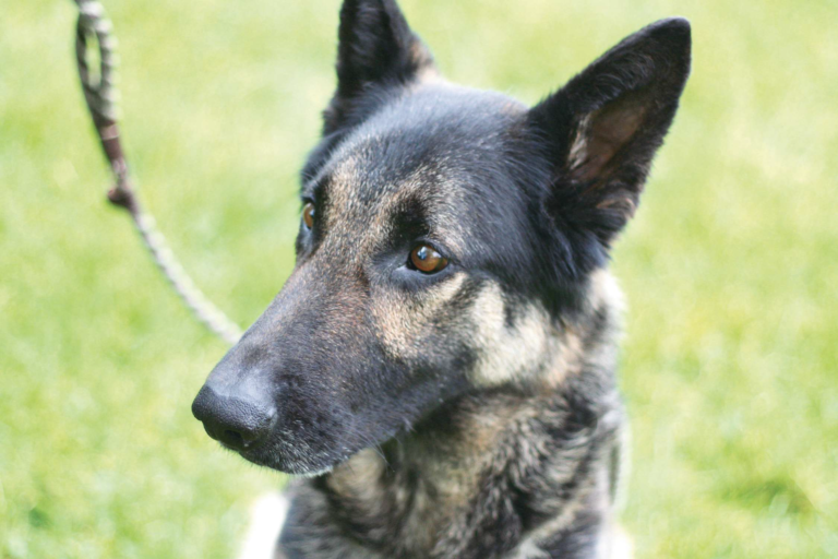 acr142272026610688-2638382