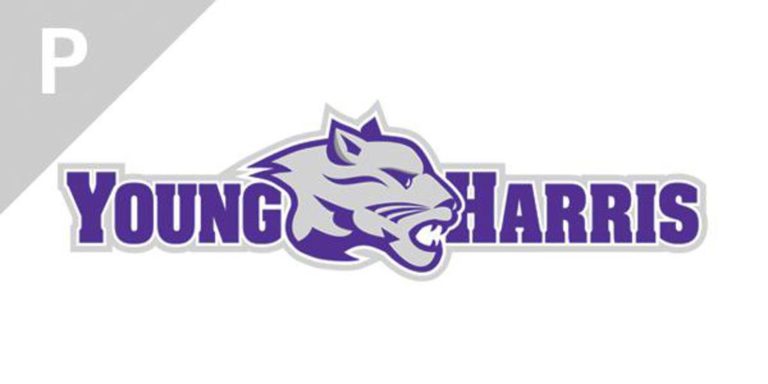 2017_corner_graphic_friendly_youngharris_large