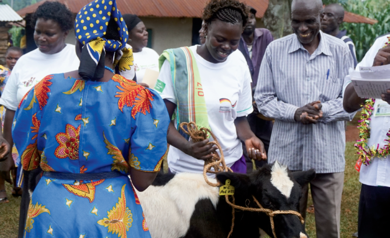 screen-shot-2017-09-25-at-11-06-43-am