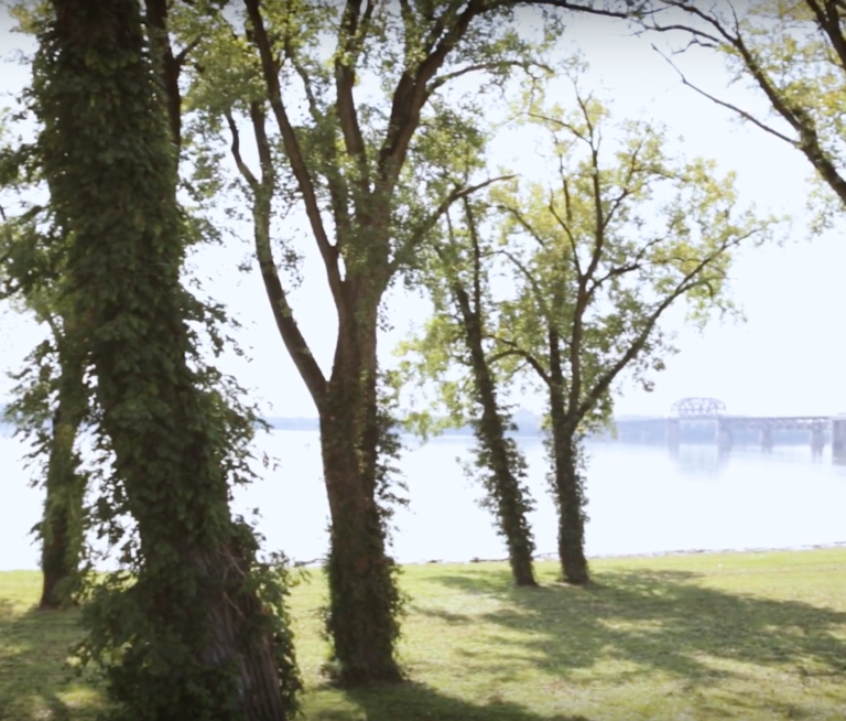 screen-shot-2018-02-27-at-10-43-36-am