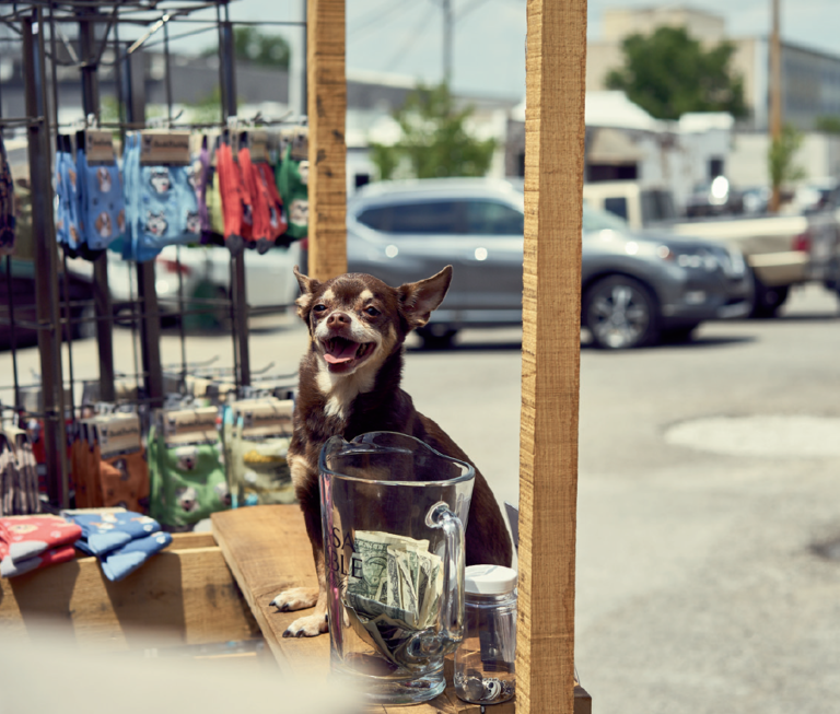 screen-shot-2018-06-05-at-5-32-20-pm