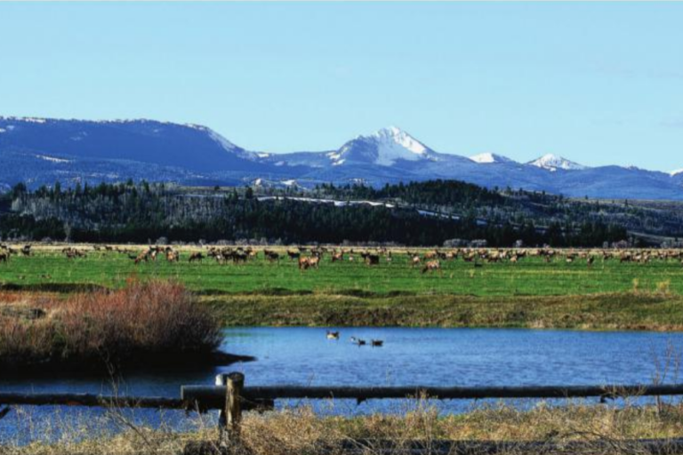 screen-shot-2018-06-26-at-12-28-17-pm