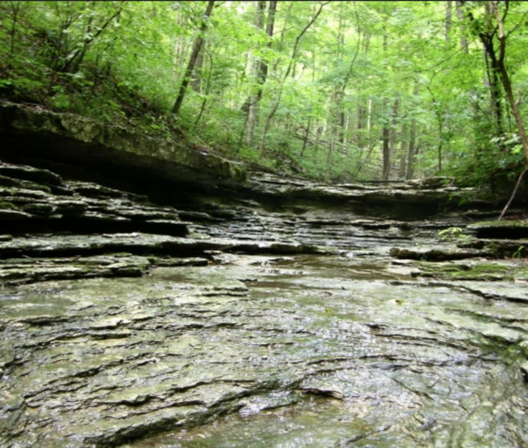 screen-shot-2018-08-20-at-2-45-58-am