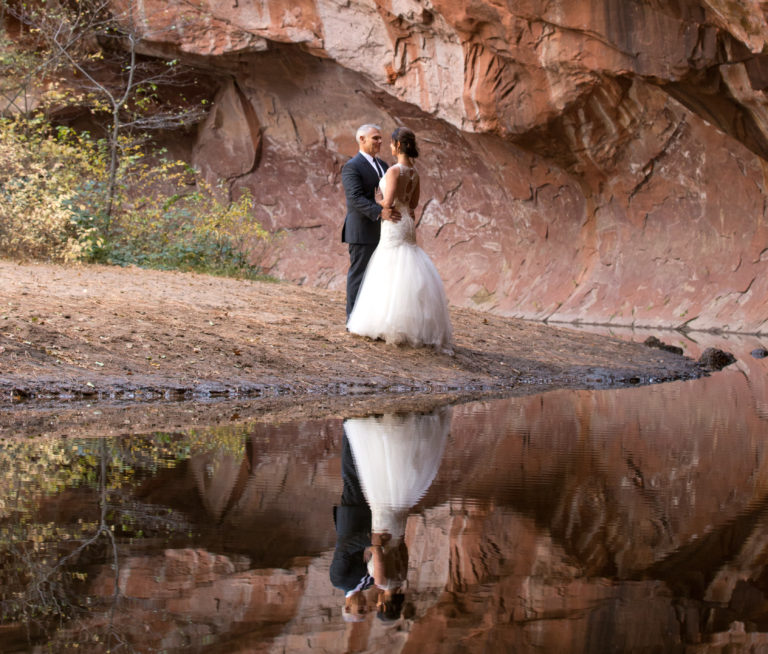 birdsong_20171106_0014