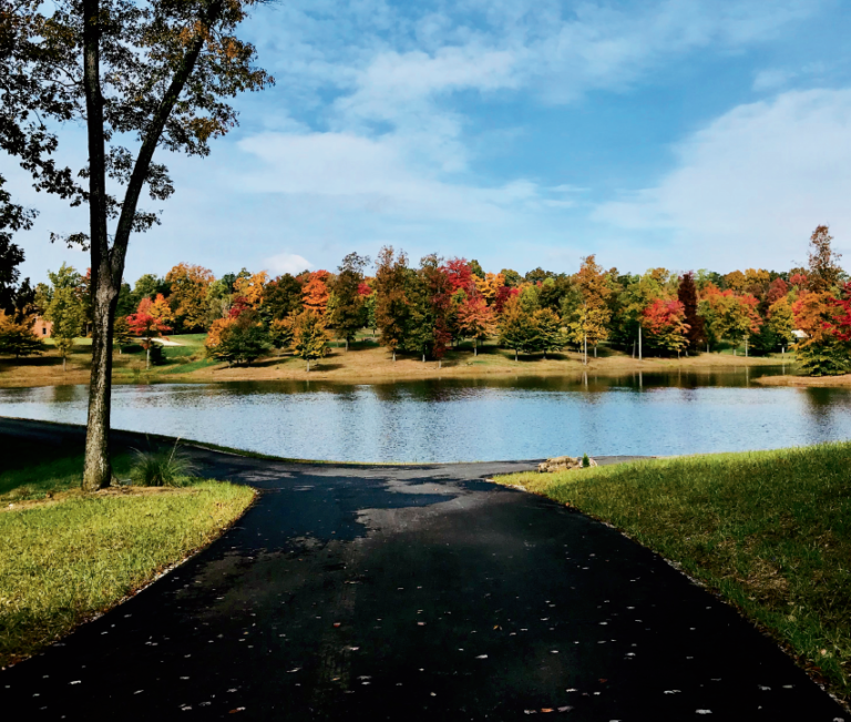 screen-shot-2018-11-20-at-4-36-34-pm