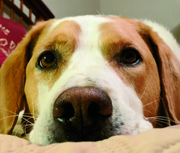 extolmag_27-1_page_016_image_0001