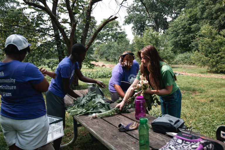 Copy-of-foodliteracy_01-1