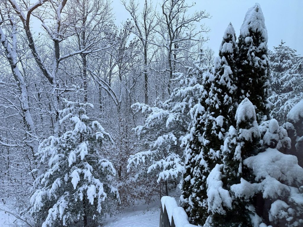 597393998_1549201759908594_7784941109926970140_n - Extol Media