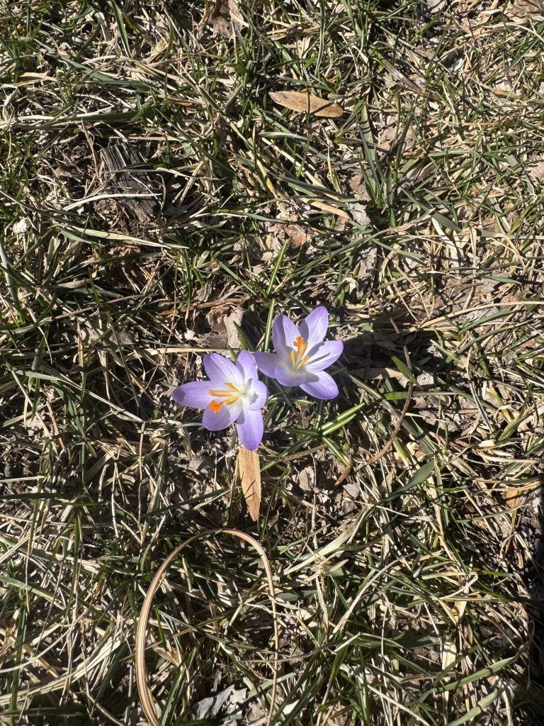 IMG_4503 - Extol Media