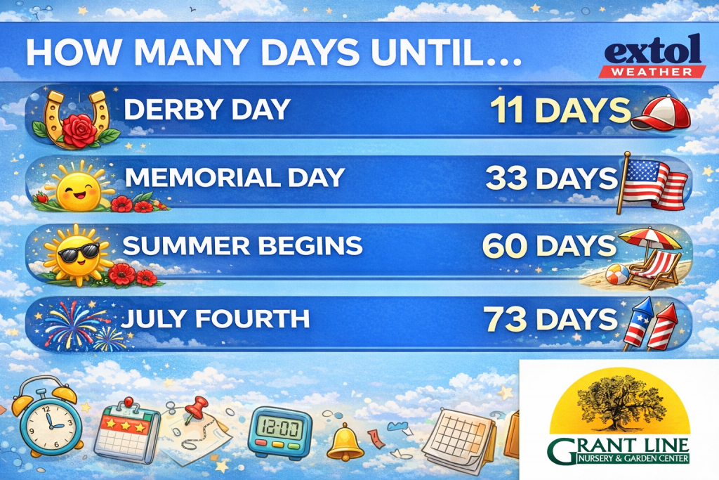 Countdown banner of upcoming summer holidays: Derby Day in 11 days with a horseshoe and rose, Memorial Day in 33 days with a sun and flowers, Summer Begins in 60 days with a sun and beach scene, and July Fourth in 73 days with fireworks and flags (blue sky background).