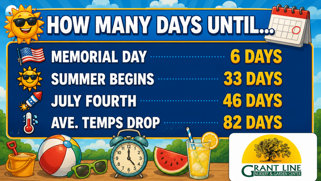 ChatGPT Image May 18 2026 07_53_33 PM - Extol Media Countdown banner: Memorial Day in 6 days, Summer Begins in 33 days, July Fourth in 46 days, average temps drop in 82 days (summer-themed board)