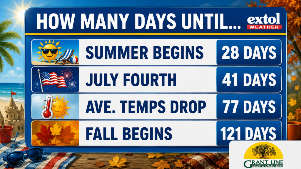 Blue countdown board listing days until Summer Begins (28 days), July Fourth (41 days), and Fall Begins (121 days); beach and autumn imagery in the background.