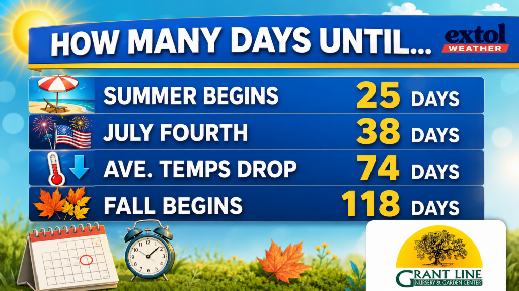 Colorful weather countdown board showing days until Summer Begins (25), July Fourth (38), Avg. temps drop (74), Fall Begins (118) with sun, flag, thermometer, and autumn leaves icons.