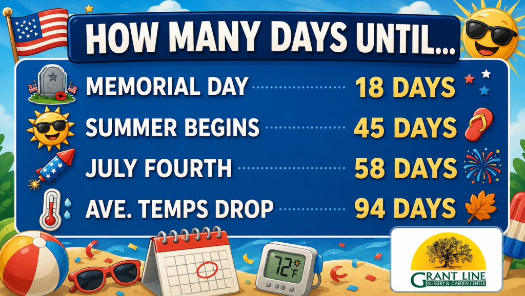 Bright summer countdown poster listing days until holidays: Memorial Day 18 days, Summer Begins 45 days, July Fourth 58 days, and Avg. Temps Drop 94 days, with icons like flag, tombstone, sun wearing sunglasses, rocket, flip-flop, thermometer, and fireworks.