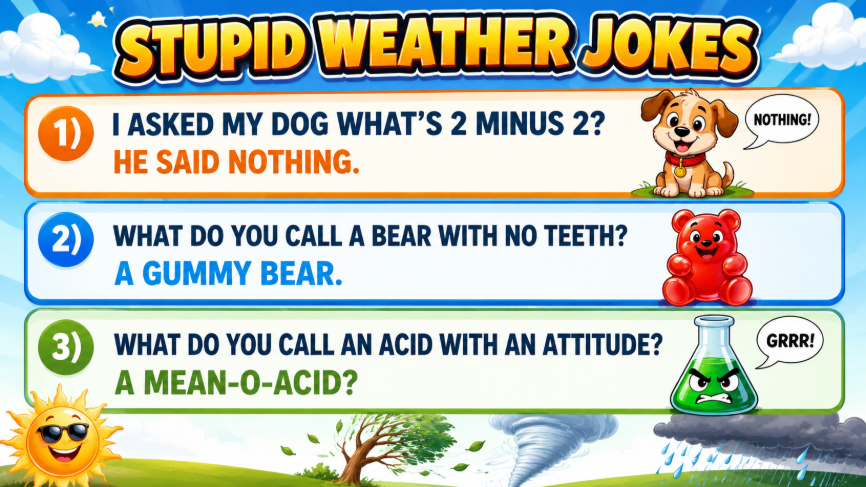 Banner titled 'Stupid Weather Jokes' featuring three joke panels: 1) 'I asked my dog what's 2 minus 2? He said nothing.' with a cartoon dog; 2) 'What do you call a bear with no teeth? A gummy bear.' with a gummy bear graphic; 3) 'What do you call an acid with an attitude? A mean-o-acid?' with a green beaker character. Bright, playful weather-themed illustrations surrounding the jokes.