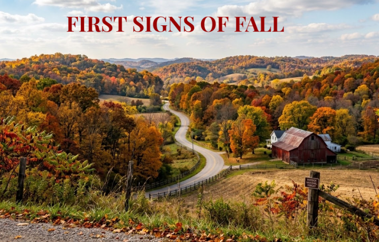 Autumn countryside with a winding road, colorful fall trees, and a red barn; the image title reads 'FIRST SIGNS OF FALL' at the top.