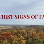 Autumnal landscape with hills and colorful fall foliage; bold red text 'FIRST SIGNS OF FALL' across the sky.