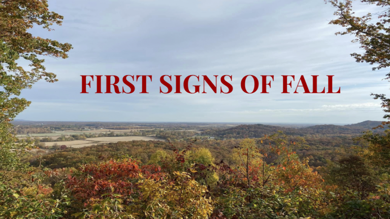 Autumnal landscape with hills and colorful fall foliage; bold red text 'FIRST SIGNS OF FALL' across the sky.