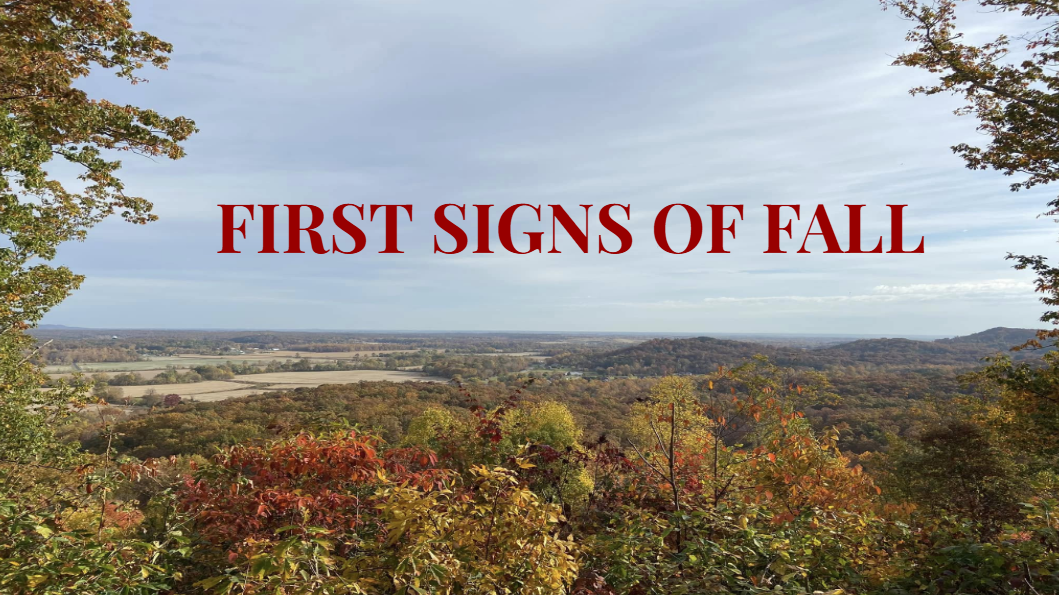 Autumnal landscape with hills and colorful fall foliage; bold red text 'FIRST SIGNS OF FALL' across the sky.