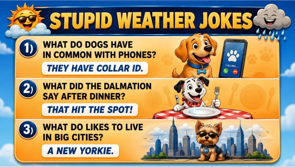 jokes - Extol Media Colorful banner 'STUPID WEATHER JOKES' with three dog-themed jokes and playful illustrations (collar ID, that hit the spot, New Yorkie).